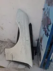 Mercedes-Benz W203 C-Class Fenders (Used) - 1
