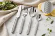 24-Piece Stainless Steel Twisted Rope Handle Cutlery Set - 1