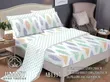 Cotton Fitted Bedsheet Set - 5