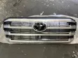 Toyota Land Cruiser 300 Series Grille (2022) - 1