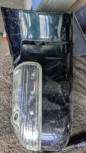 Nissan Elgrand Sidemirror (Iliyo tumika)