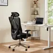 Orthopedic Executive Office Chair - Black - 4