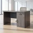 Executive Gray Office Desk 1.2M - 2