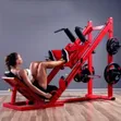 Ace Leg Press and Hack Squat Machine - 2