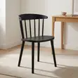 Kiti cha Kulia cha Plastiki Nyeusi cha Kisasa - 4