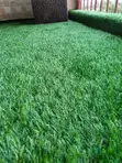 Super Low Maintenance Grass Carpet - 1