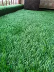 Super Low Maintenance Grass Carpet - 2