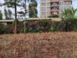 Commercial Plots Ruaka - 2