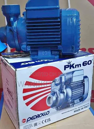 Pampu Mpya ya Maji ya Umeme ya Pedrollo 0.5HP