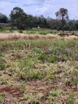 1/8 Acre Plots for Sale in Kerarapon - 2