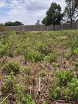 1/8 Acre Plots for Sale in Kerarapon - 4