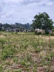 1/8 Acre Plots for Sale in Kerarapon - 5