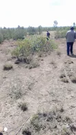 Prime Farmland for Sale in Laikipia County - 1