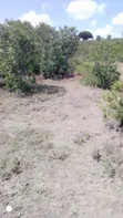 Prime Farmland for Sale in Laikipia County - 2