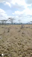 Prime Farmland for Sale in Laikipia County - 3