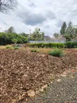 1/4 Acre Residential Plot for Sale, Kerarapon (Drive 12) - 3