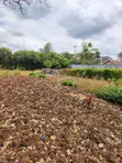 1/4 Acre Residential Plot for Sale, Kerarapon (Drive 12) - 5