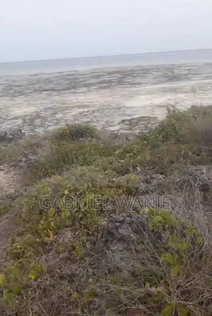 Beach Plot Land for Sale - First Row
