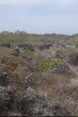 Beach Plot Land for Sale - First Row - 2