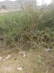 2 Acres Industrial Land for Lease - Mombasa Road - 2