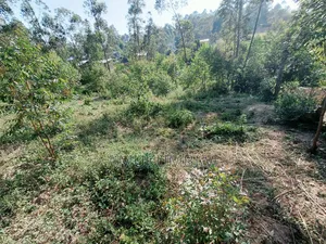 0.5 Acre Plot for Sale in Ikonyero, Kakamega