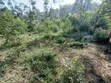 0.5 Acre Plot for Sale in Ikonyero, Kakamega - 1
