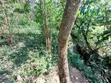 0.5 Acre Plot for Sale in Ikonyero, Kakamega - 3