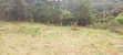 1/8 and 1/4 Acre Plots in Kerarapon, Karen Sold Together - 2