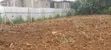 1/8 and 1/4 Acre Plots in Kerarapon, Karen Sold Together - 3