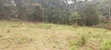 1/8 and 1/4 Acre Plots in Kerarapon, Karen Sold Together - 4