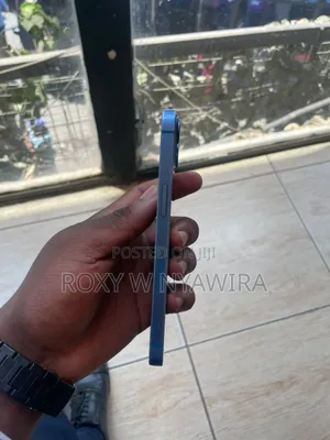 Apple iPhone 13 256GB Blue