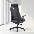 Lama Orthopedic Office Chair - 1