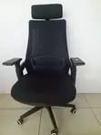 Lama Orthopedic Office Chair - 4