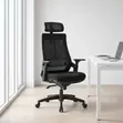 Lama Orthopedic Office Chair - 5