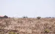 Eneo la Biashara la Eka 2 Kamakis Ruiru Mbali na Kangundo Rd - 2