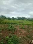 Eneo la Eka 5 kwa Uuzaji Sosobora, Malindi - KES 80,000/Eka - 2