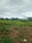 Eneo la Eka 5 kwa Uuzaji Sosobora, Malindi - KES 80,000/Eka - 3