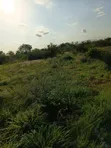 Ekari 2 Zinauzwa Malindi eneo la Sosobora - 2