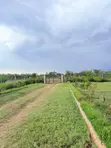 9 Acres Land for Sale in Mayian, Nanyuki - 1