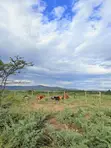 9 Acres Land for Sale in Mayian, Nanyuki - 4