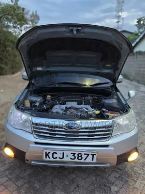 Subaru Forester 2010 Silver