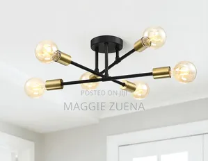 4-Arm Ceiling Fixture