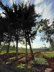 Residential Land for Sale in Loresho - 1
