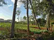Residential Land for Sale in Loresho - 2