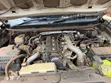 Toyota Land Cruiser Prado 2015 Nyeupe - 4