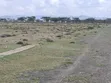 Ardhi 8 Eka Nanyuki Ereri Olopajeta Inauzwa - 1