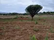 1 Acre Land for Sale in Salgaa, Rongai - 2