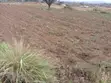 1 Acre Land for Sale in Salgaa, Rongai - 3