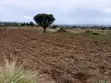 1 Acre Land for Sale in Salgaa, Rongai - 4