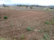 1 Acre Land for Sale in Salgaa, Rongai - 5